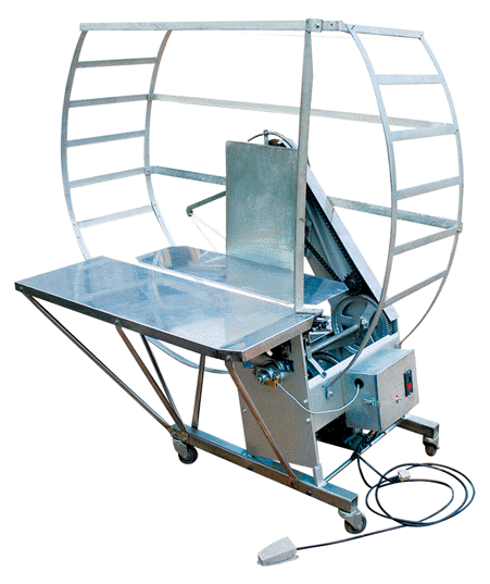 Automatic Strapping Machine